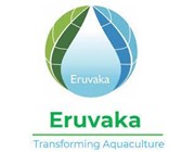 Eruvaka Technologies